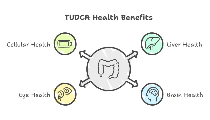 benefit of tudca